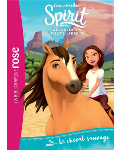 Spirit 01 - le cheval sauvage