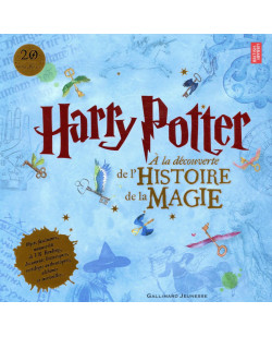 Harry potter - a la decouverte de l'histoire de la magie