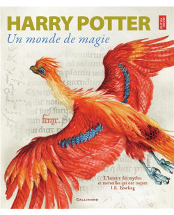 Harry potter, un monde de magie