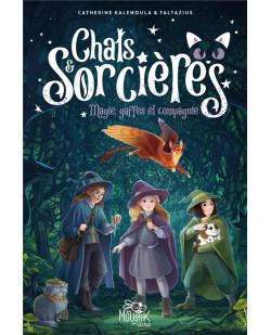 Chats & sorcieres - tome 1 - magies, gaffes et compagnie, tome 1