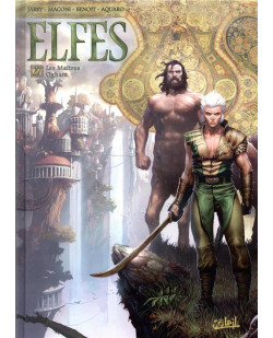 Les terres d-arran - elfes - elfes t27 - les maitres ogham