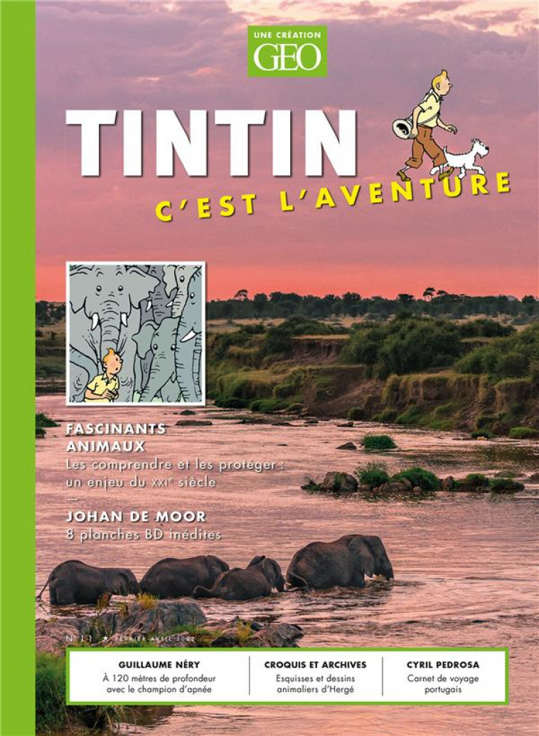 TINTIN - C-EST L-AVENTURE 11 - FASCINANTS ANIMAUX - COLLECTIF - FEMME ACTUELLE